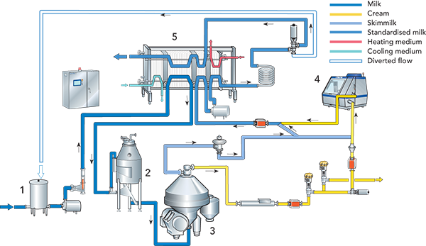 The process of pasteurized milk production