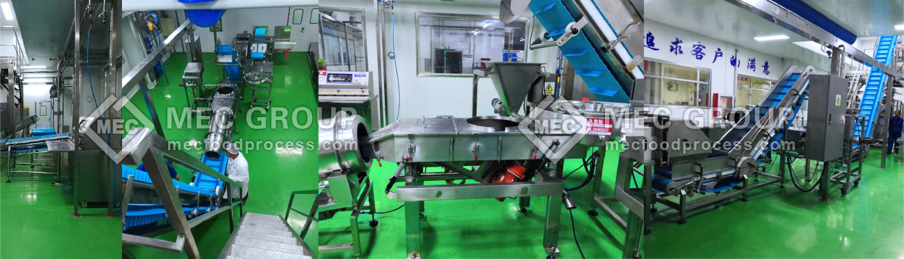 Mozzarella cheese processing line